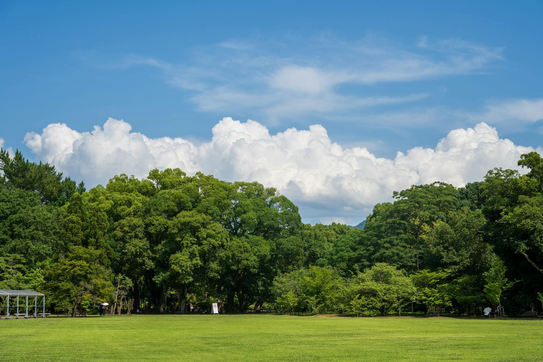 Central Park