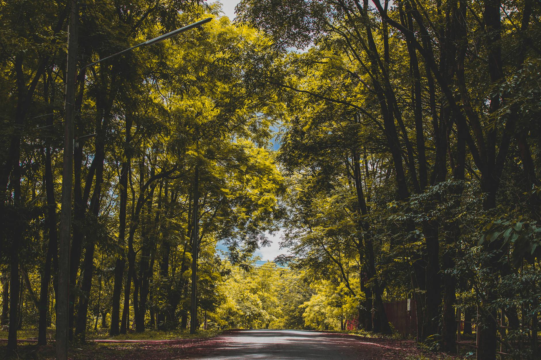 iroquois park