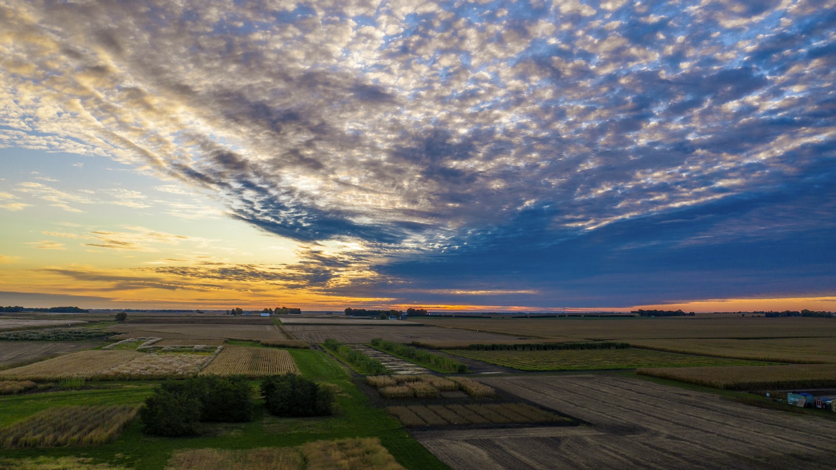 Illinois