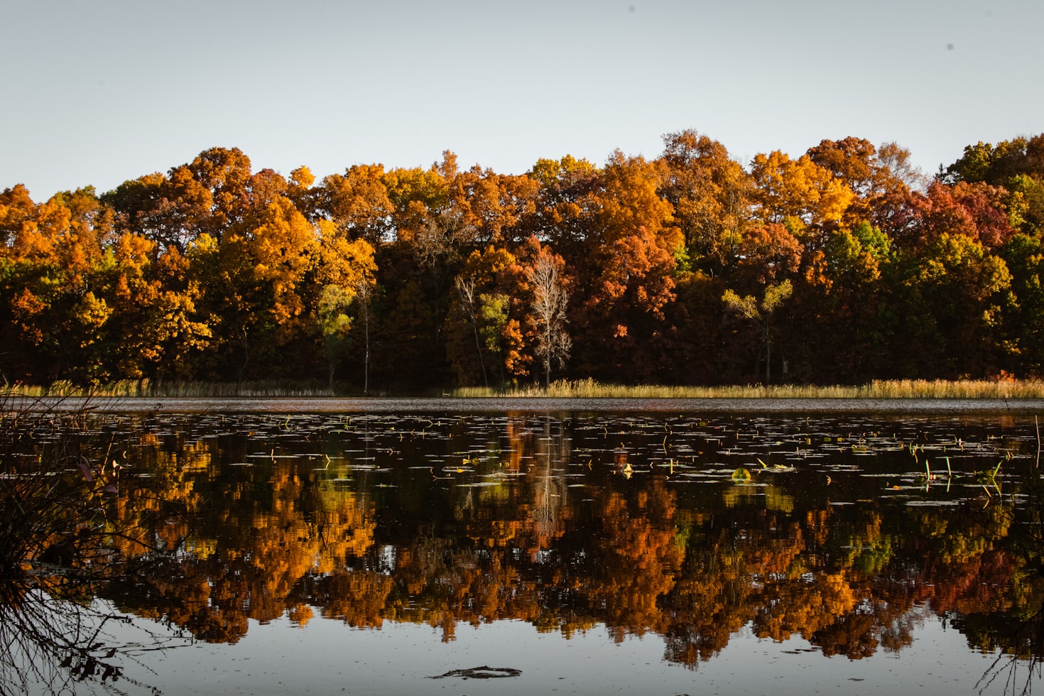 Kalamazoo