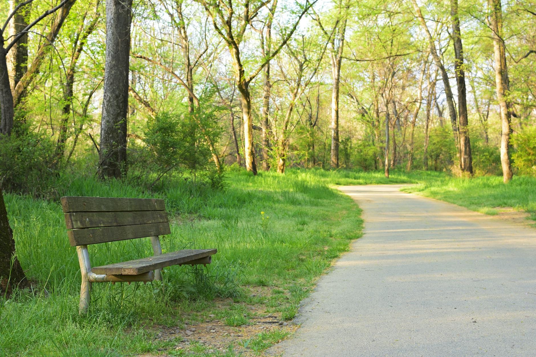 shelby park